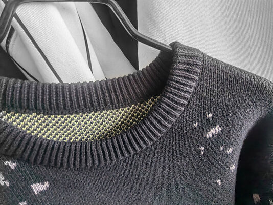 Mens Sweater Casual Fit Thick Cotton Pullover With Jacquard Wolf Pattern And Embroidery Sleeve For Daily Life