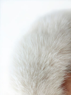 Women Plush Scarf Made From 100 Percent Polyester Fake Fox Fur Thick Winter Neckwarmer Muffler Magnetic Closure